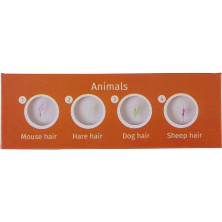 Levenhuk LabZZ C12 set vetrini preparati