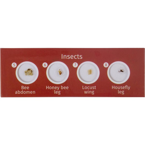 Levenhuk LabZZ C12 set vetrini preparati