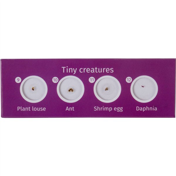 Levenhuk LabZZ C12 set vetrini preparati