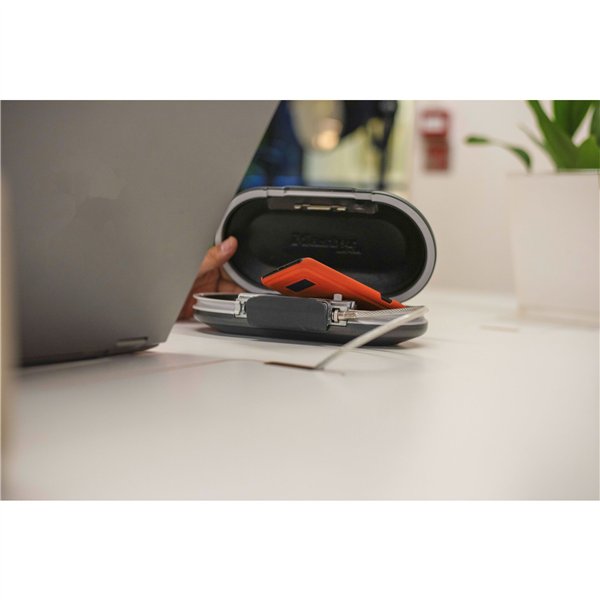 Master Lock cassetta di sicurez. portatile 5900EURD