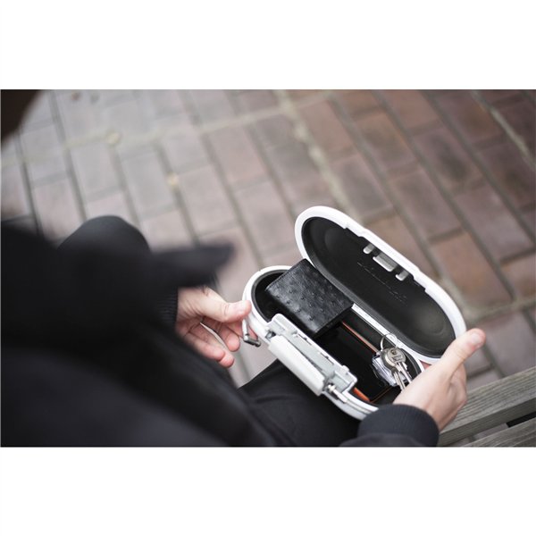 Master Lock cassetta di sicurez. portatile 5900EURDWHT