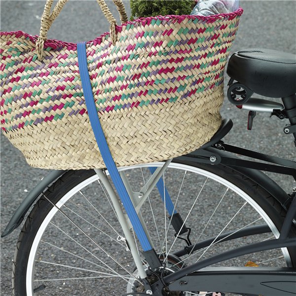 Master Lock cinghia elastica piatta 3227EURDAT