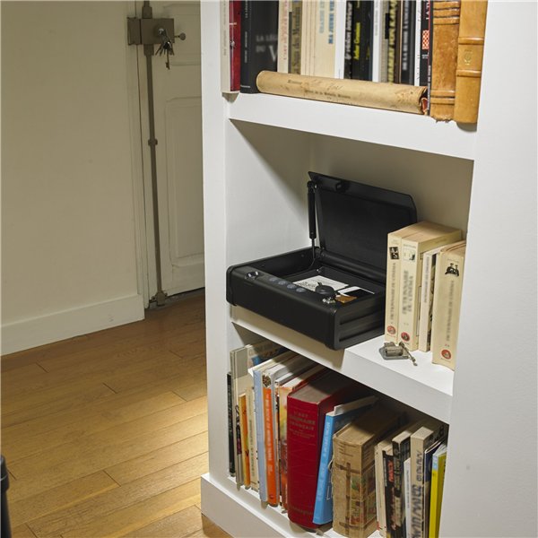 Master Lock Small Safe MLD08EB biometric lock