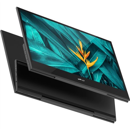 Mobile Pixels Glance 16  monitor extender