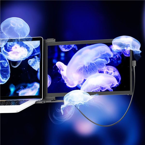 Mobile Pixels Duex Max DS 14,1  monitor extender