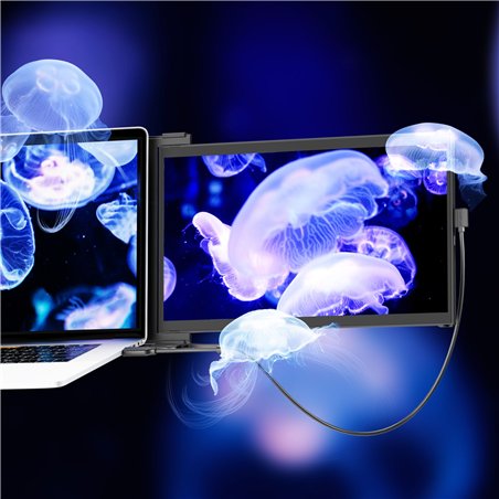 Mobile Pixels Duex Max DS 14,1  monitor extender