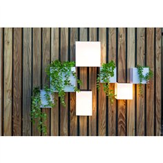 New Garden WALLY 18X18X18 SOLAR WALL 2