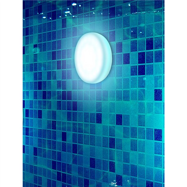 New Garden PAPAYA 12 BATTERY