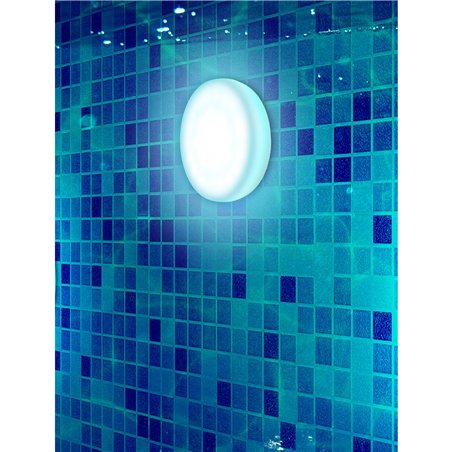 New Garden PAPAYA 12 BATTERY