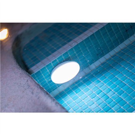 New Garden PAPAYA 12 BATTERY