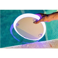 New Garden PAPAYA 30 SOLAR 2