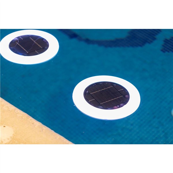 New Garden PAPAYA 30 SOLAR