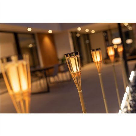 New Garden  Hiama solar