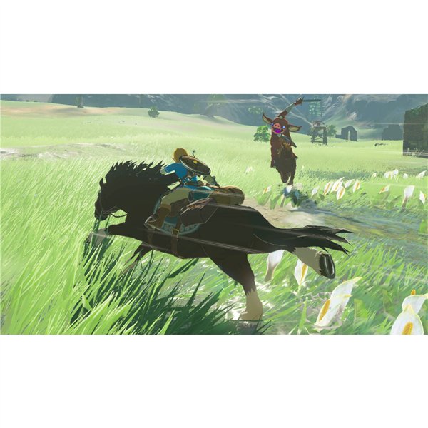 Nintendo Switch Legend of Zelda Breath of the Wild