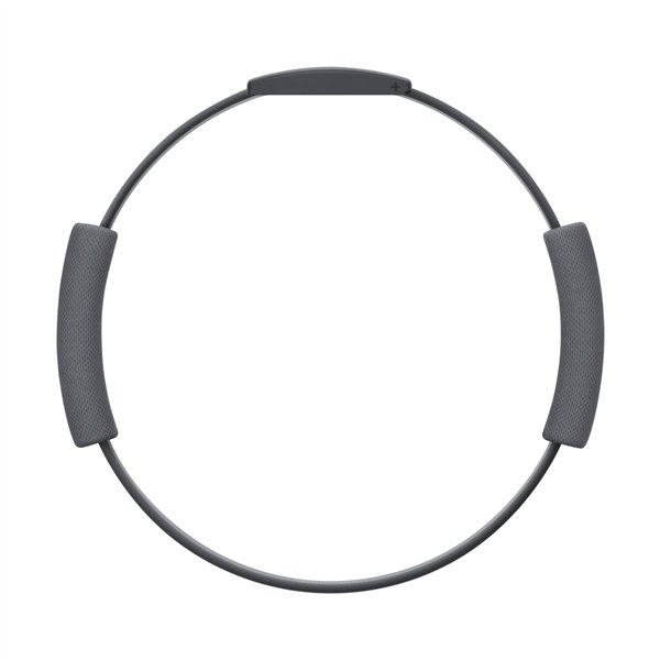 Nintendo Switch anello Fit Adventure