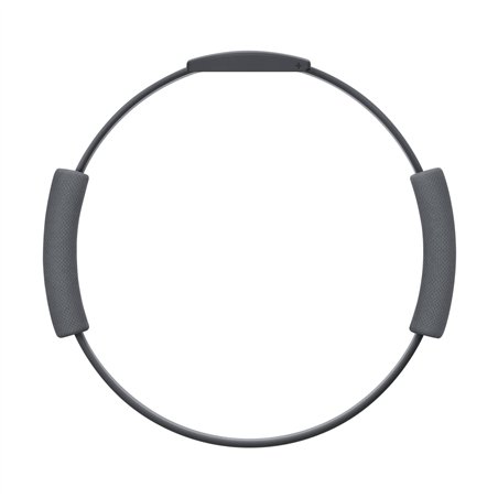 Nintendo Switch anello Fit Adventure