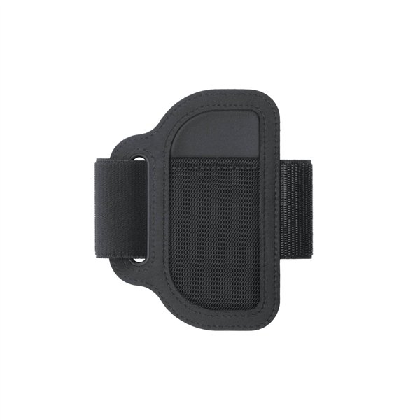 Nintendo Switch anello Fit Adventure