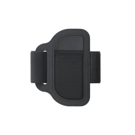 Nintendo Switch anello Fit Adventure