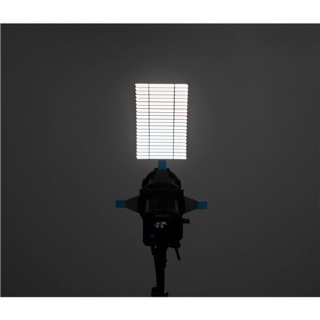 Nanlite PJ-FMM-19 attacco per proiez. per Forza 60 60B 19°