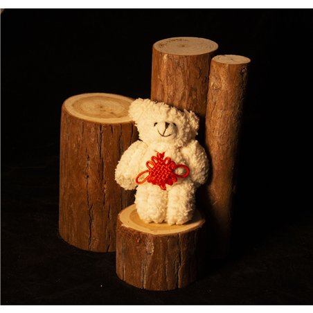 Kaiser PL24 Vario illuminatore 2 luci tavolo