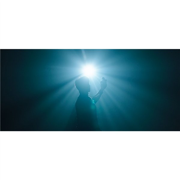 Nanlite Forza 300B II Bi-Color