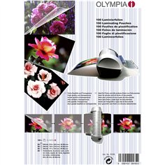 Olympia Buste di plastific. kit