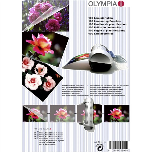 Olympia Buste di plastific. kit
