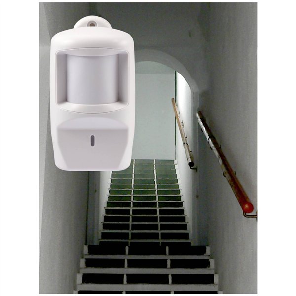 Olympia sensore di movimento 1 pezzo (nuovo Design)