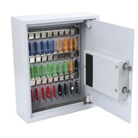 Olymp GoSafe 50A argento cassaforte con chiave