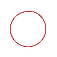 Olympus POL-050 O-Ring
