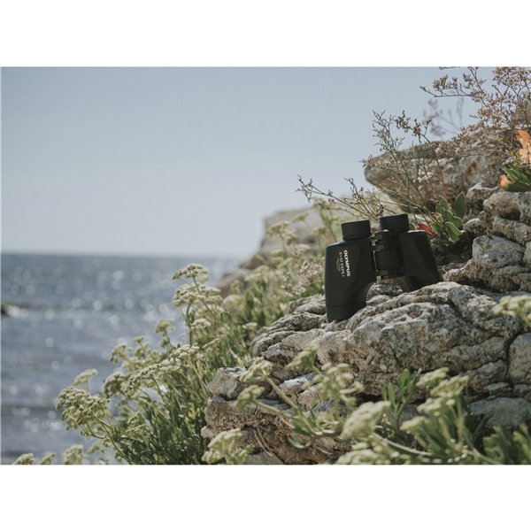 Olympus  8x42 EXPS I