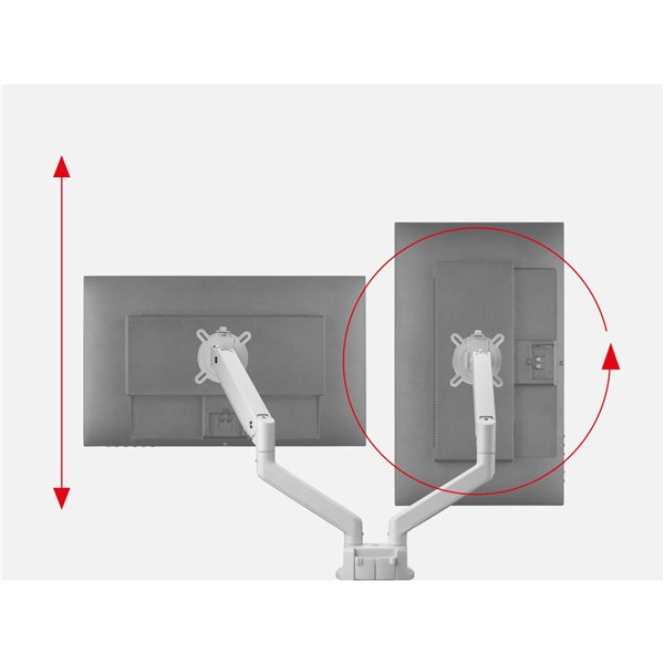 One for All supporto monitor Solid Dual bianco DM 4220