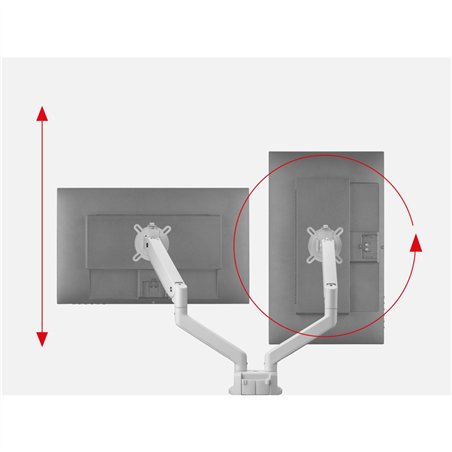One for All supporto monitor Solid Dual bianco DM 4220