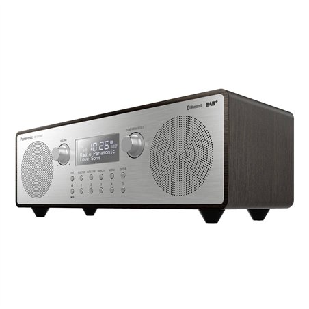 Panasonic RF-D100BTEGT marrone