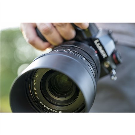 Panasonic Leica DG 1,7/25-50