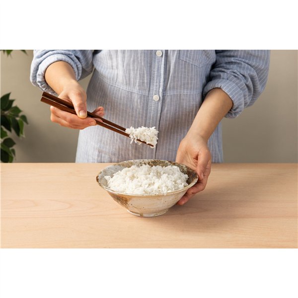 Panasonic SR-DA 152 WXE