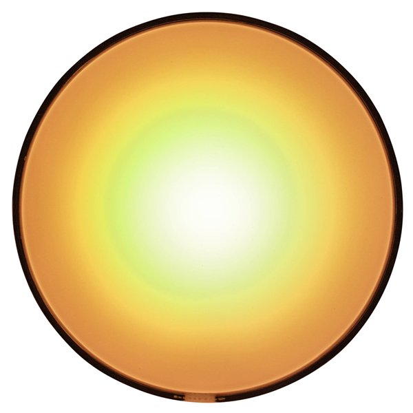 Philips Hue Go LED lampada BT 520lm White Color Ambiance batt.