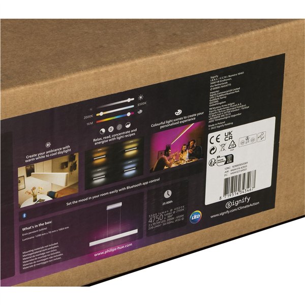 Philips Hue Ensis Pendelleuchte weiß