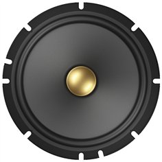 Pioneer TS-A1601C 2