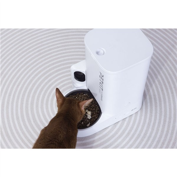 PETKIT YumShare Solo con Camera (P571)