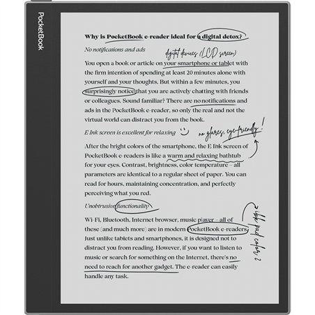 PocketBook InkPad Eo grigio nebbia
