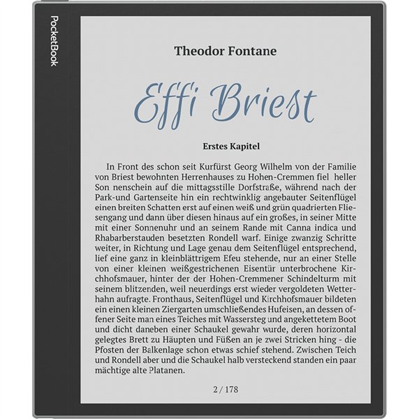 PocketBook InkPad Eo grigio nebbia