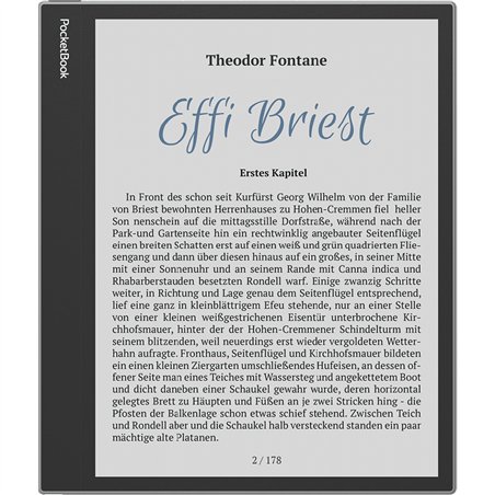 PocketBook InkPad Eo grigio nebbia