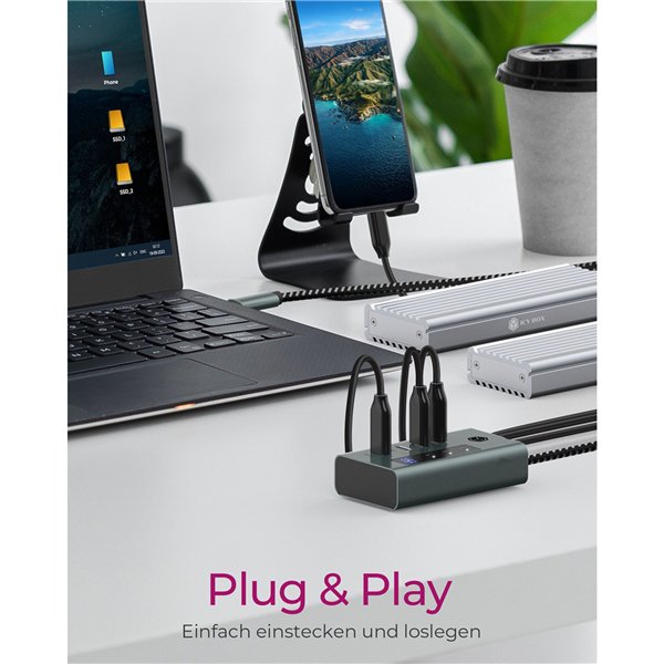 ICY BOX IB-HUB1454-C31