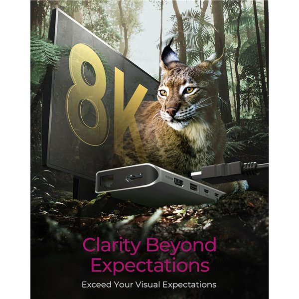 ICY BOX IB-DK4061-CPD Notebook Dockingstation