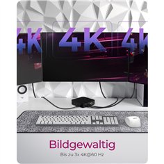 ICY BOX IB-DK4090-C Multidock Multidock 2