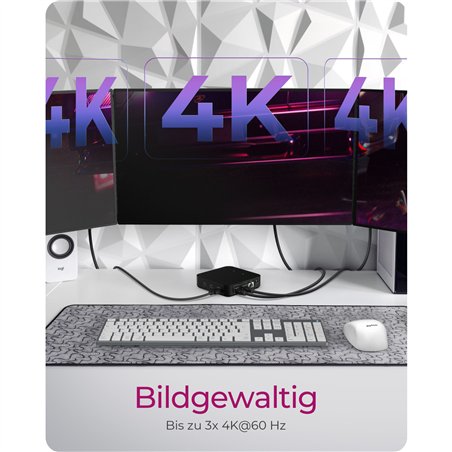 ICY BOX IB-DK4090-C Multidock Multidock