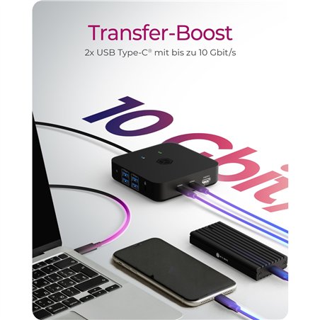 ICY BOX IB-DK4090-C Multidock Multidock