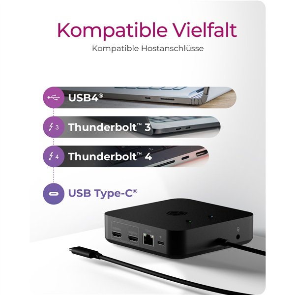 ICY BOX IB-DK4090-C Multidock Multidock