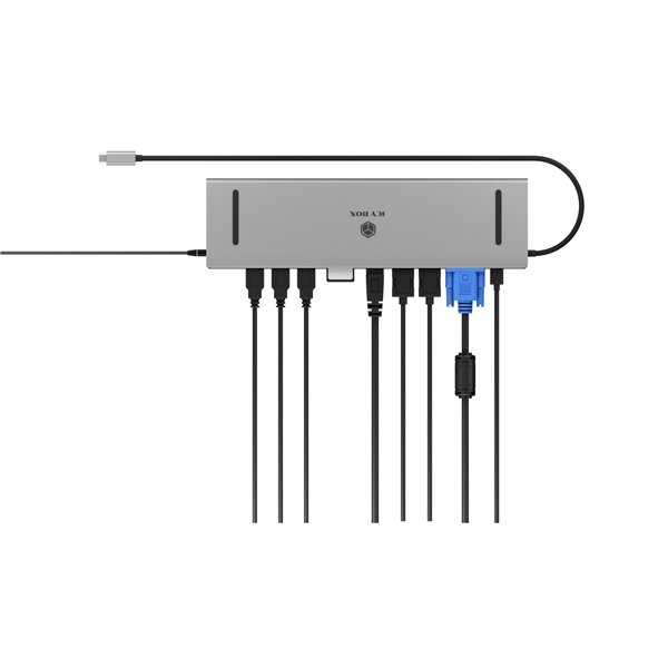 ICY BOX IB-DK2106a-CPD 11-in-1 DockingStation